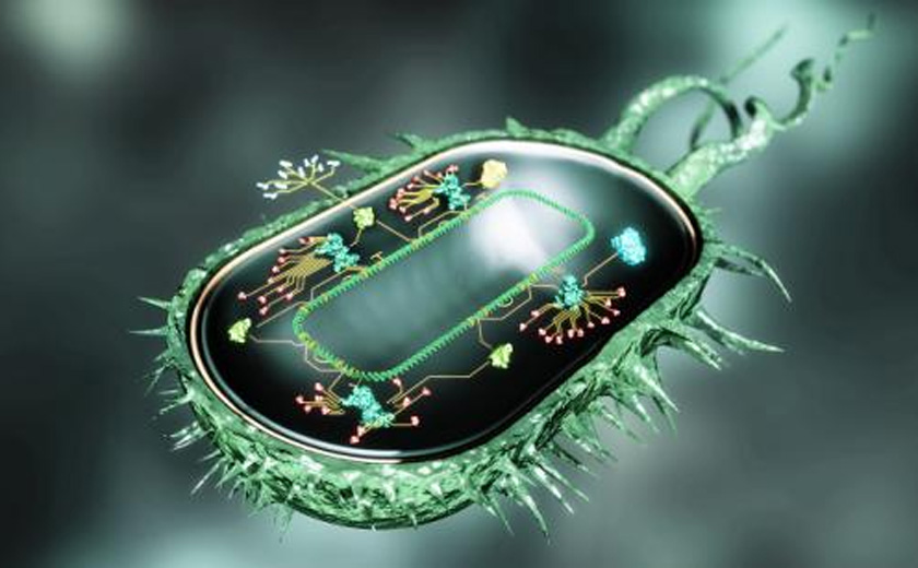 Cell Factory Casting -Plattform