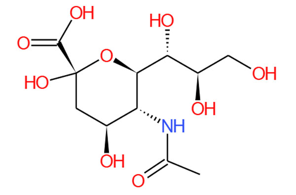 N-Acetylneuraminsäure