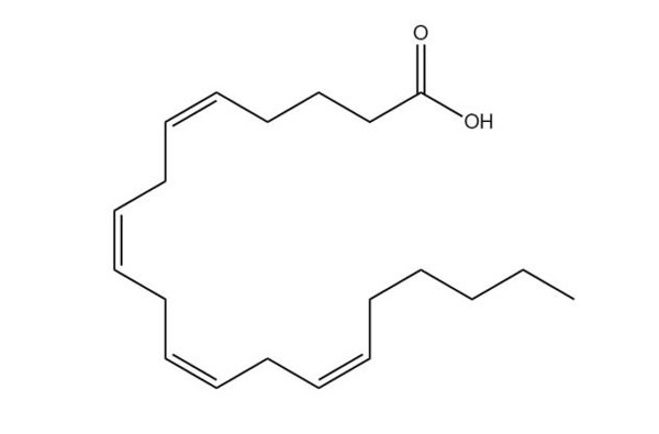 Arachidonsäure