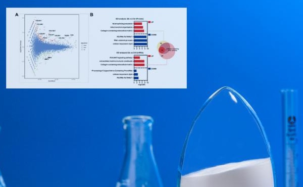 International renommiertes Schönheitsmagazin "Sofw Journal": Omics Technology &amp; N -Acetylneuraminsäure - Dekodieren der Geheimnisse jugendlicher Haut