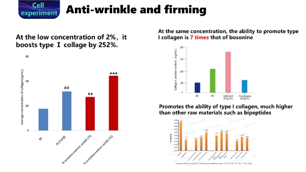 Sialinsäure in Anti-Aging-Haut