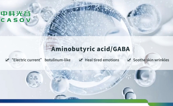 Rolle der Aminobuttersäure (GABA) in der Hautpflege: Eine natürliche Anti-Aging-Lösung