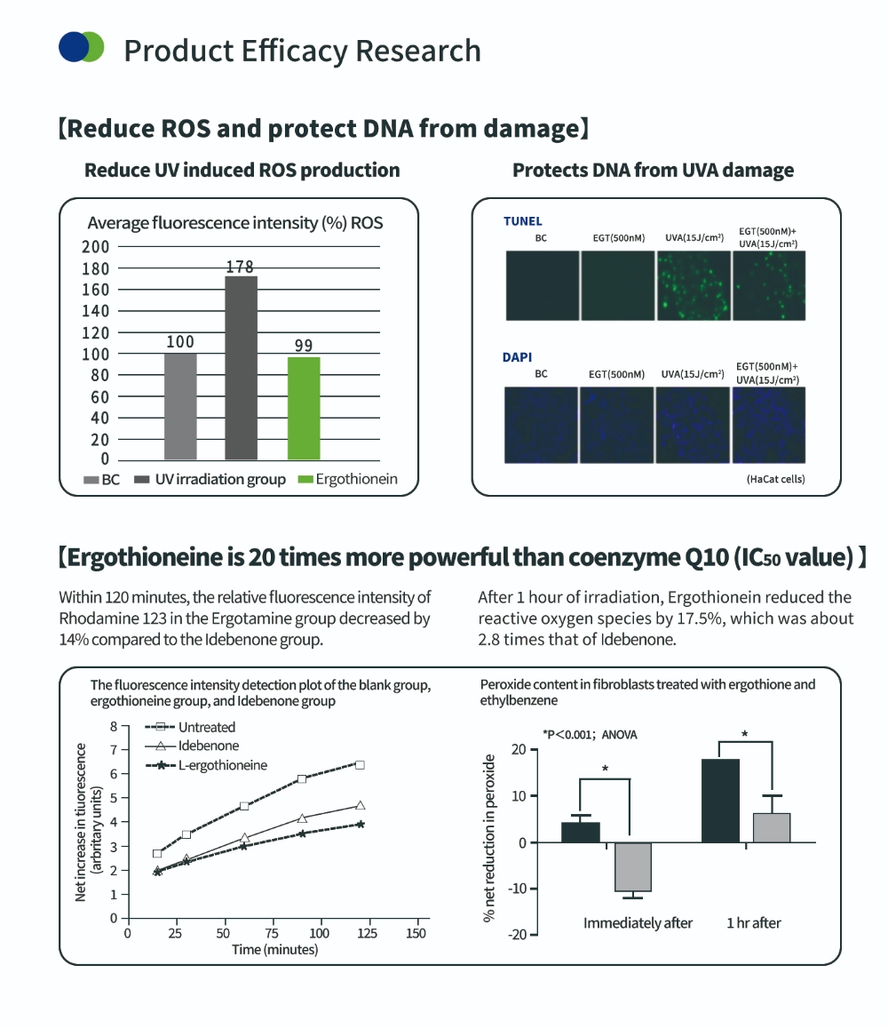 Antioxidansverbindung Ergothionein