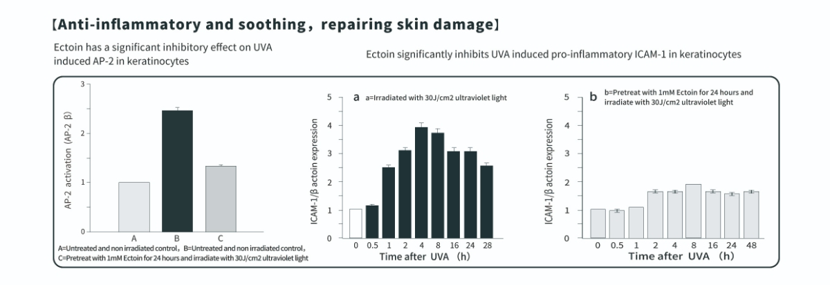 Entzündungshemmende Wirkung von Ectoin-Pulver für die Haut